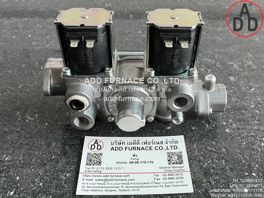 WS-102-100 AC200V (1)
